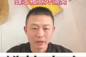 简单有效处理雄蜂的方法。#雄蜂怎么处理 #雄蜂脾 #中蜂养殖技术讲解 #养蜂技术分享#龙泉山邓不耙视频封面