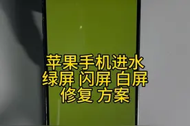 苹果手机绿屏的恢复方法 苹果手机进水绿屏闪屏白屏怎么解决 看这里☝️#手机进水 #手机维修视频封面