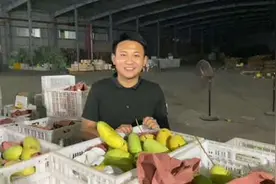 康康发出去的芒果都是当作自己的收到一样的去发