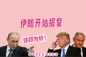 东北疯讽刺配音998：伊朗报复以色列，懂王和普大帝通话，爆笑