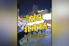 沈阳北市场是一个古老的集市。#沈阳 #沈阳游玩推荐 #东北旅游 #集市 #年货视频封面