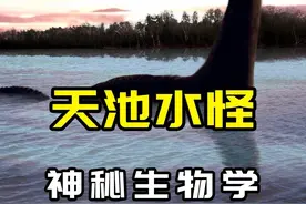我国最富盛名的UMA？长白山天池水怪究竟是什么？ #古生物视频封面