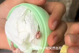 反转玉米蛇开箱#开箱 #爬宠 #玉米蛇 #蛇 #宠物蛇视频封面