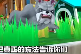 我是一只猫新玩法来了#4399游戏盒#我是一只猫#猫 #猫咪游戏