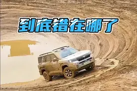 坦克500Hi4z VS 方程豹8 ，到底哪里不对。