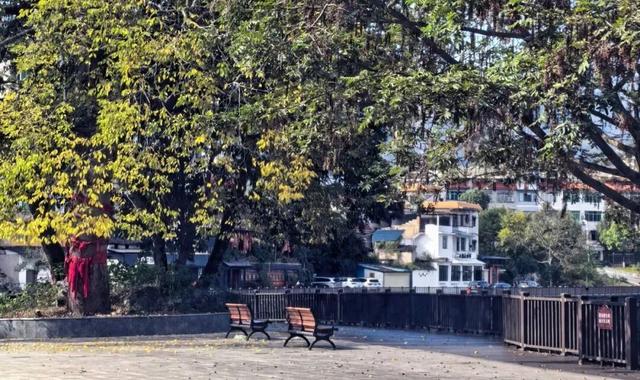 暖冬限定！赴一场“去班味”的阳光慢旅