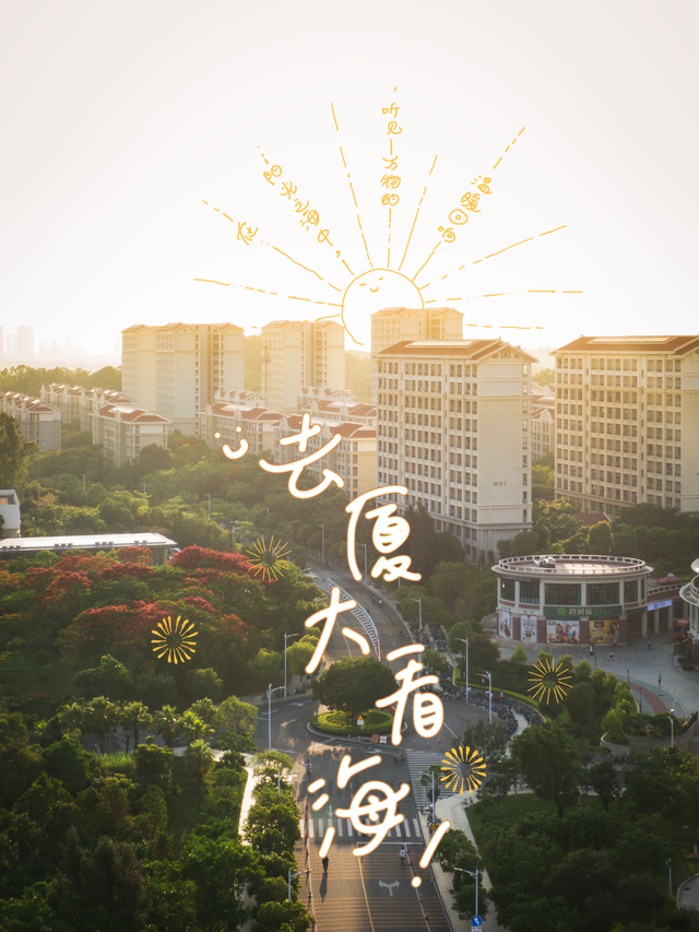 走！去厦大看海！