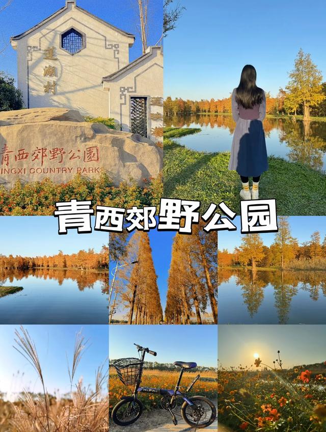 上海打工人周末“出逃”计划!这些周边宝藏地藏不住了!