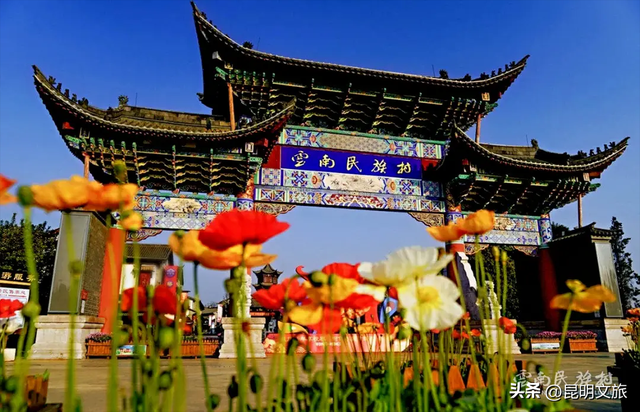 纯攻略！昆明5天3晚亲子游等你来：有动物有鲜花还有“海洋”……