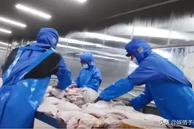 315这一晚，曝出6个行业乱象，却被一碗淋巴“梅菜扣肉”夺了眼球图片