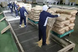 日本大米价格连涨14周，5公斤约200元人民币图片