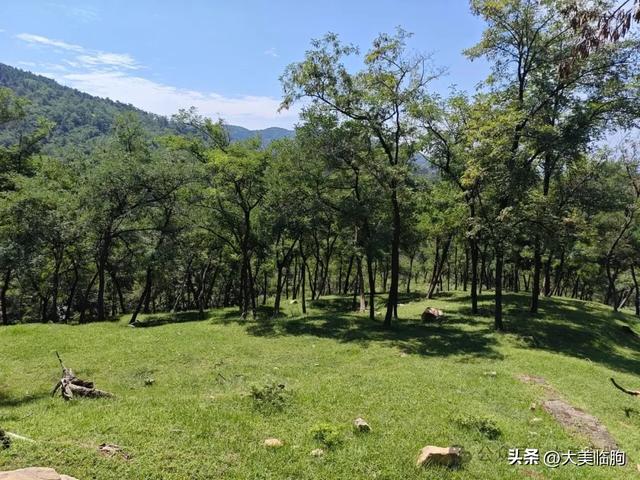 昨天我们去过，潍坊临朐这个地方的景色到了最美的时候了