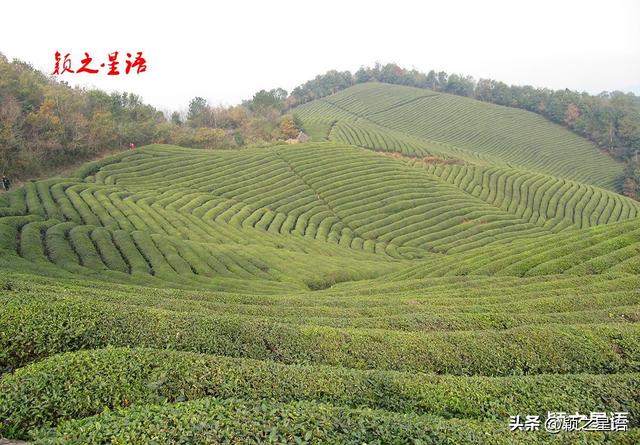 佛系旅游：锡灵峰龙窟禅寺，宁波的小天坛