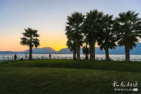 2025新春的福保半岛景色宜人图片