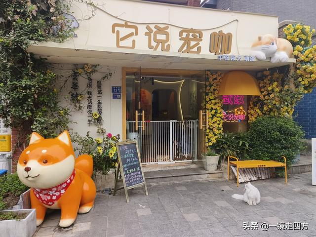 被誉为"活着的武汉近代史书"的历史街区昙华林