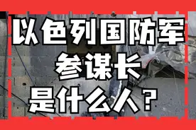 以色列国防军参谋长赫兹·哈莱维是谁?图片