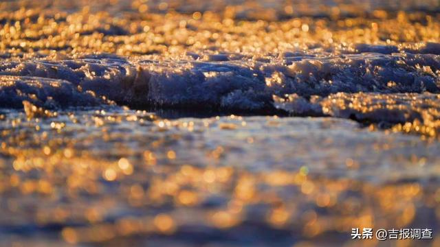 向海鹤舞，冰湖鱼跃！通榆冬季“生态剧本杀”正式开场！