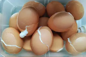 长见识了，水煮蛋最忌冷水下锅！这样煮鸡蛋，鲜嫩易剥，快试试吧图片