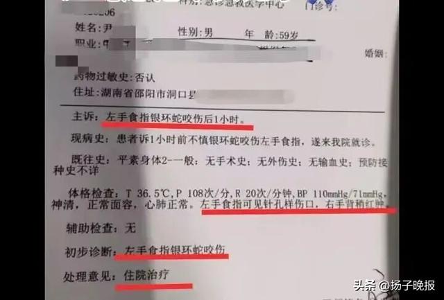 大反转！直播抓蛇被咬伤失联网红，被警方拘留8天后道歉：蛇攻击瞬间被甩开，毒液未完全注射下去