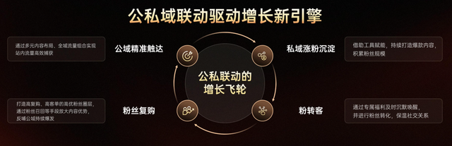 这届双11，快手想把流量喂给商家