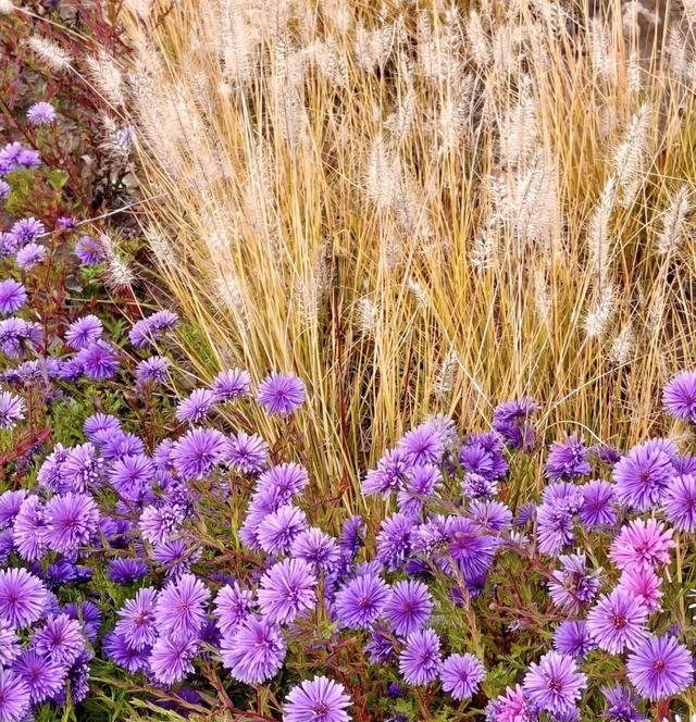秋景秋色秋意浓,北京城市副中心藏着古今交融的浪漫