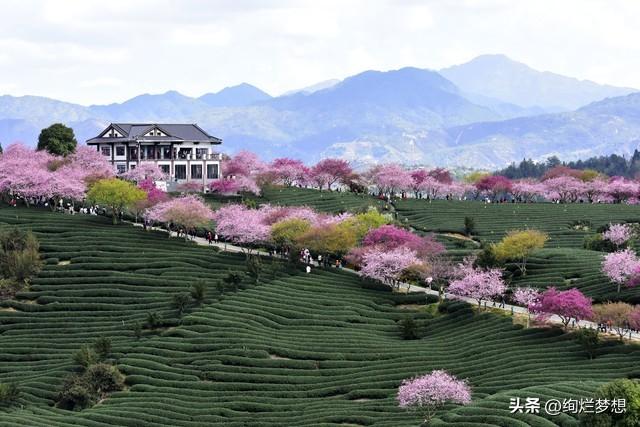 “忙”字背后，爱已悄然退场？