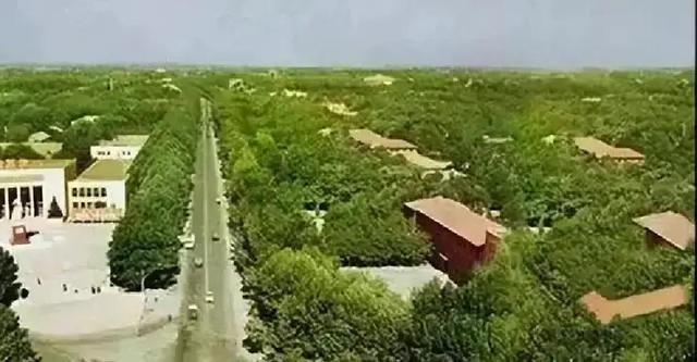 70多年前的大雪天	，毛主席为啥决定把河南省会由开封迁至郑州