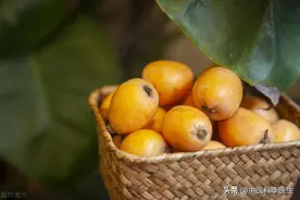 枇杷再次成为关注对象！医生忠告：枇杷有5个功效，但4类人管住嘴图片