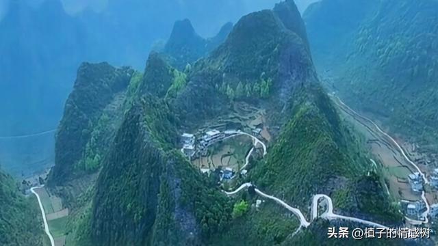 七十响礼炮震彻都安，千层岭间漫卷乡愁：七秩辉煌，你我共见