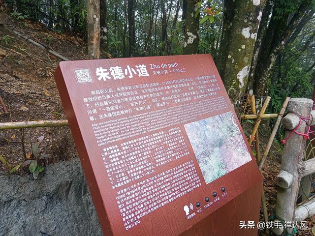 2025湖南行:仙气飘飘~莽山五指峰
