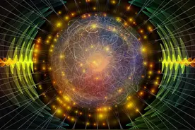 中国的“白菜化”多恐怖！身价17亿，却被拿来种地、捕猎野猪图片