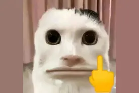 表情包 | 恶心变态的表情包图片