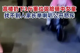 小区住户从楼上扔3斤垃圾险砸中女童，家长：几乎每晚都有人从楼上扔垃圾，已报警求助图片