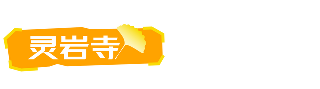 生为山东「银」，何其有「杏」！