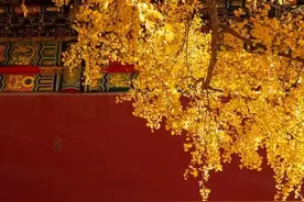 历史的今天：10月29日（九月）廿七图片