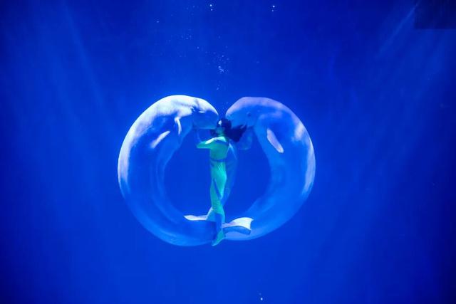 超有氛围感！哈尔滨冬日打卡攻略