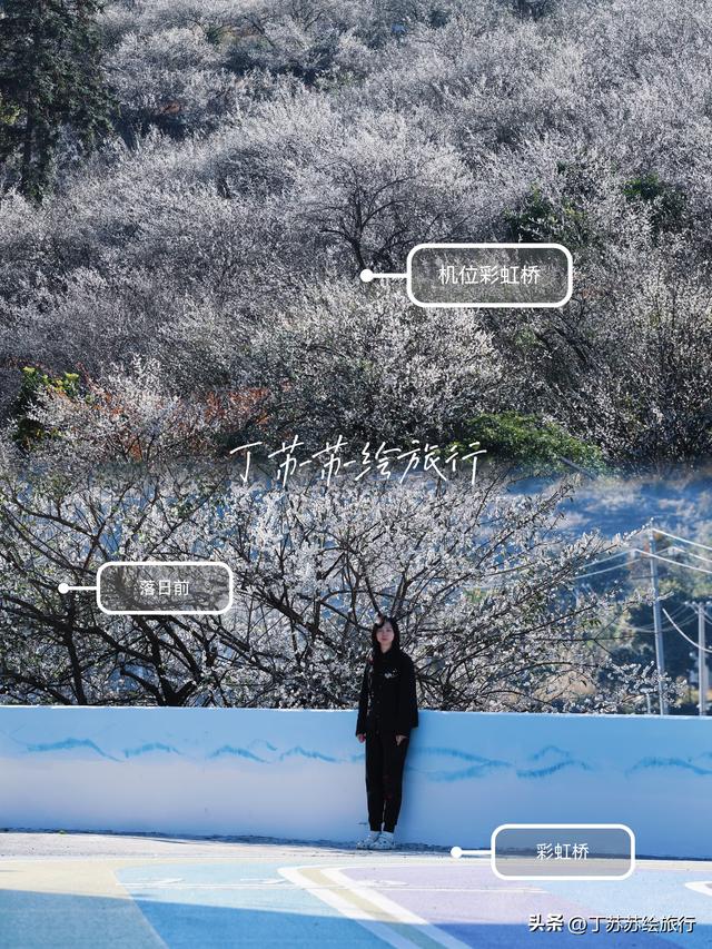 永泰赏梅花期最后10天新发现彩虹路 梅花道‼️穴利轻松游