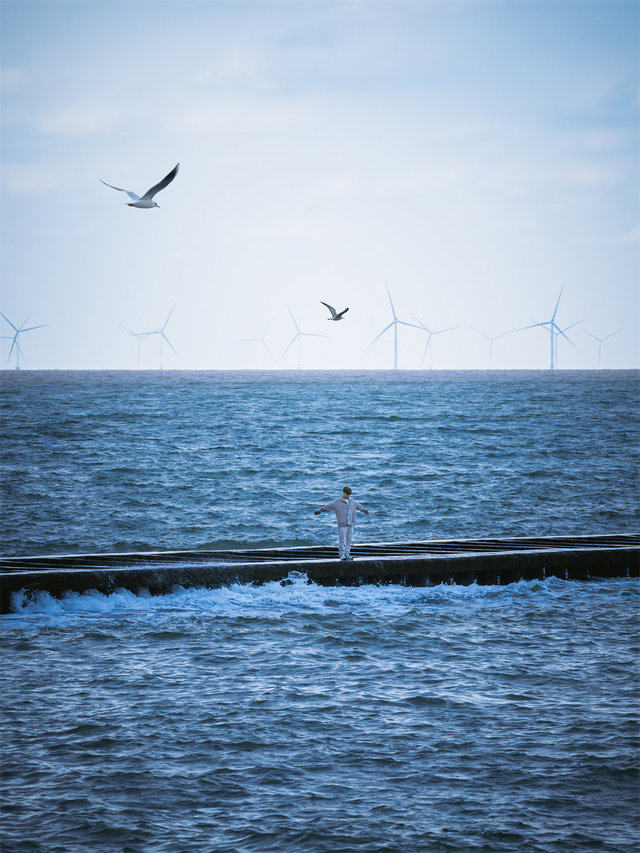 为了这些照片，我专门来了一趟东营！