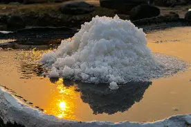 不吃盐会怎样，为何野生动物不吃盐活蹦乱跳，人不吃盐却会死图片