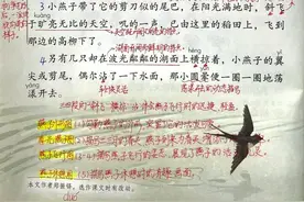 三年级语文下册，第一单元第2课《燕子》课堂解析，收藏备用图片