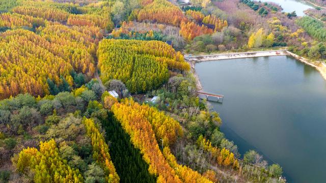 立冬悠游青岛西海岸新区灵山卫街道，乡野美得不像话，像画！