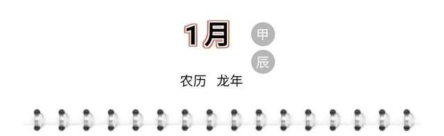 2024金龙迎新——洪锐精品日历线上展(图4)