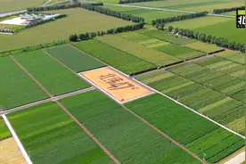 中国国家地理携手文化大咖，探寻北纬47°玉米的领“鲜”奥秘图片