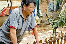 赶走门前客后，朱楼村空了，大衣哥独自赏牡丹，邻居恼他断了财路图片