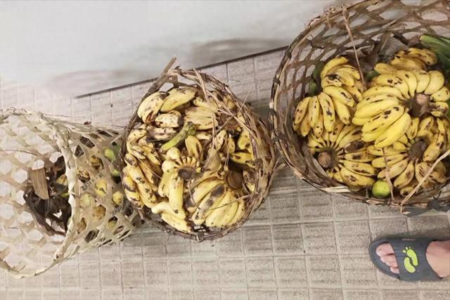 船到马达加斯加，船员精神抖擞，遇送女儿一事，真实体验耐人寻味