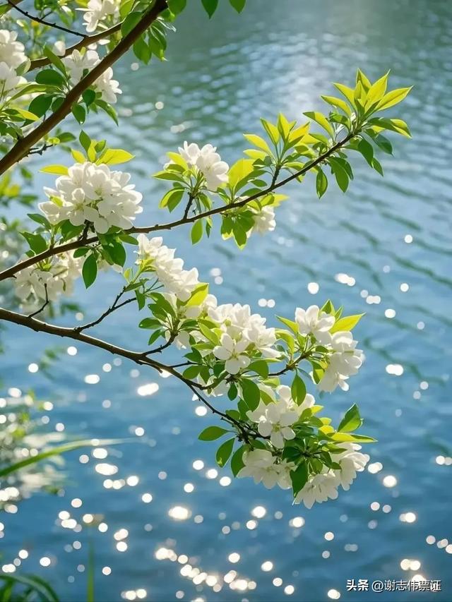 别春迎夏 气象万千