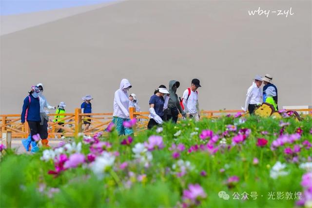 快来看，大漠敦煌又一波花海来袭
