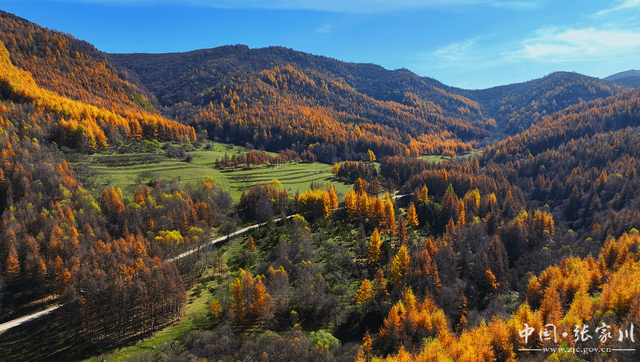 【摄影报道】秋韵未歇：张家川山水的立冬回眸