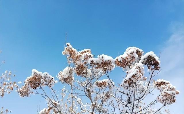 “大雪多不多，就看立冬”，今日立冬，今年冬天雪多会冷到哭吗？