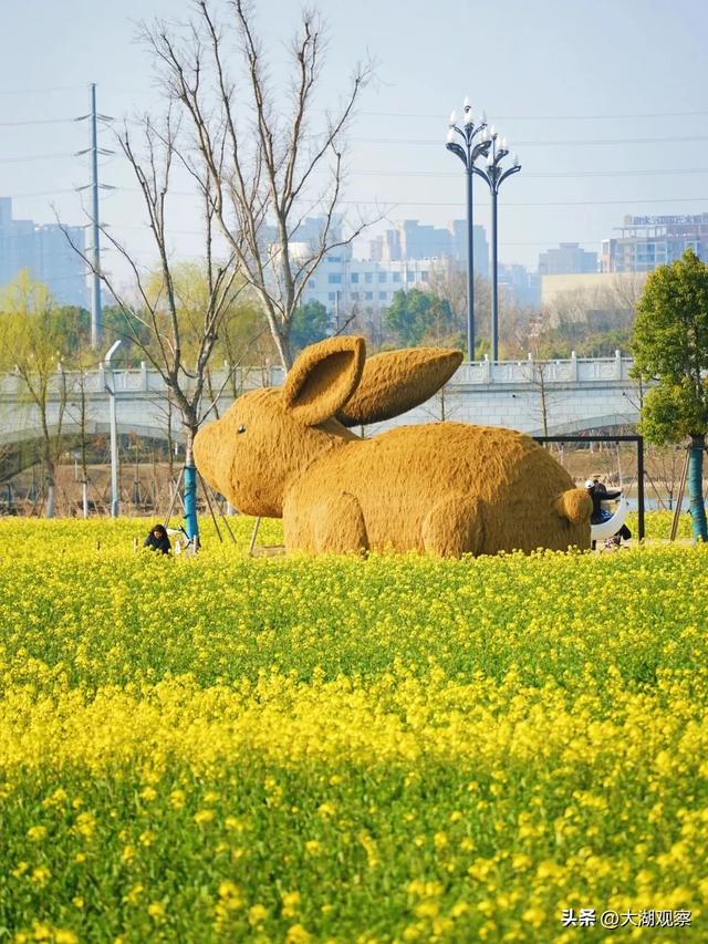 太美了!现在的合肥美到你来了就不想走!